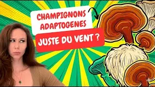 Champignons adaptogènes : bienfaits, dangers et avis