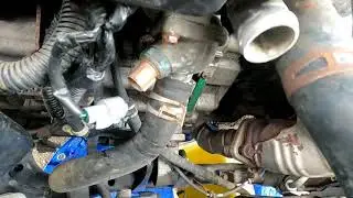 04 honda civic thermostat replacement