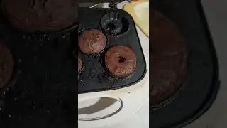 NYA the cats cooking