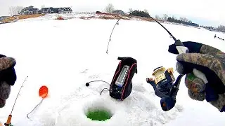 UNEXPECTED Catch Ice Fishing MY NEW LAKE!! (Finally)