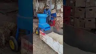0702983808