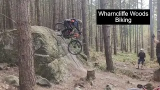 Dry and dusty Wharncliffe Woods Explore