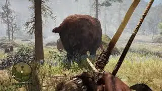 HUNTING PRIMAL ANIMALS WITH PRIMAL WEAPONS || FARCRY PRIMAL || GTX1650TI || 1080p ULTRA