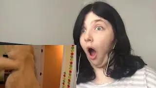 SML Movie: Jeffy's Teddy Bear Reaction (ParaReact REUPLOAD)