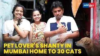 Mumbai: Pet Lover&rsquo;s Shanty In Chembur Home To 30 Cats
