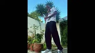 DR SCHOOL CB5