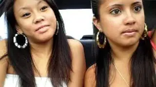 stine & shell