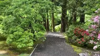 Walking to the Moon Bridge