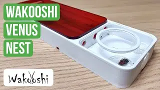 Ant Nest Review: WaKooshi Venus Nest | BRUMA Ants