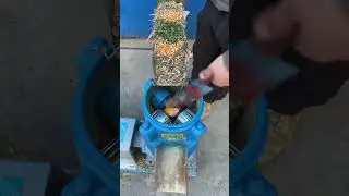 Fresh Feed Grinding in Action ⚙️🐓or #song #bollywood #movie#bollywoodsongs#hindisong #foodprocessing