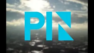 PIN Business Network Explained: Data as a Service (DaaS)