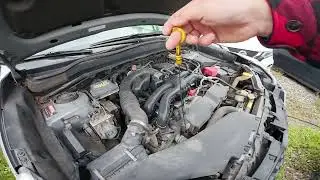 Расположение щупа для проверки уровня моторного масла в Subaru Forester IV (2012-2018).