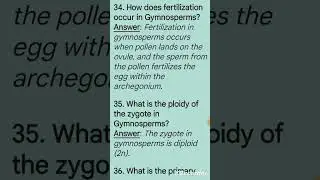 Gymnosperm: important questions #botany #naked seeded plants