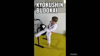 absolom Academy - ouverture de notre nouvelle section pour enfants : KYOKUSHIN BUDOKAI.