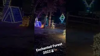 Enchanted Forest Light Show ❄️ 2022 ❄️