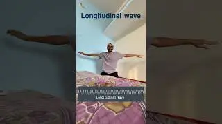 Transverse and longitudinal wave 💚!!!! #shorts #shortvideo #shortsfeed #physics #neet