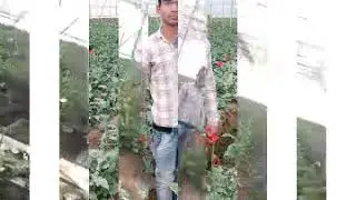 # J.S. University Shikohabad # Agriculture Department #By- VIVEK YADAV