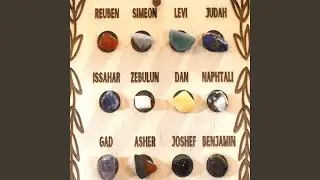 12 TRIBES