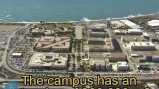University of Almeria - UAL INTERNATIONAL  (English)