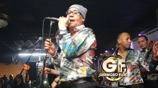 Yovanny Polanco - Santo Liborio (26 de noviembre 2017)