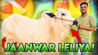 Mubarak Ho !! Naseeb Ka Soda Hogya 💕