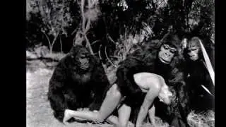 THE APEMEN - shake your hoover - INSTRUMENTAL SURF MUSIC