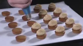 Chocovic, The taste of Talent