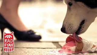 Teeth 'n' Tongue Jam - Luxury Problem