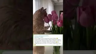 Отзывы Движение Сердца сеансы