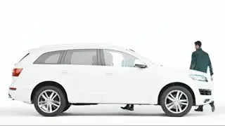 NVS 1