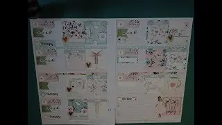 A5 Ringbound Plan With Me