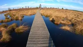 Goldener November  im Brackvenn 4K  -Novembre ensoleil&eacute; en Fagne