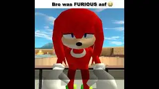 Shadow's Revenge Guac #sonic #memes