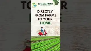 Order your dose of Farm Fresh Vegetables right away from Petagma Farms