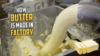 How Butter Is Made In Factory | Butter Factory