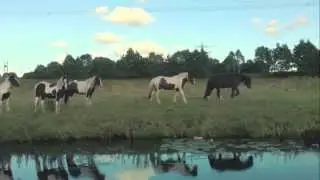 Red River Dialect - 