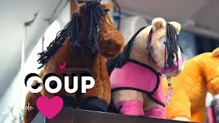 COUPDE💗 // Les peluches Crafty Ponies 🐴