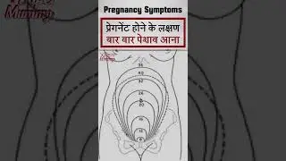 Pregnant Hone Ke Lakshan | Pregnancy Me Bar Bar Peshab Aana | #shorts #pregnancy #pregnancysymptoms