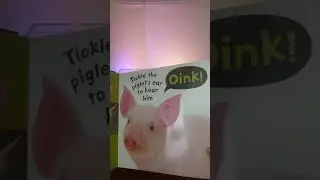 Noisy Farm Book!