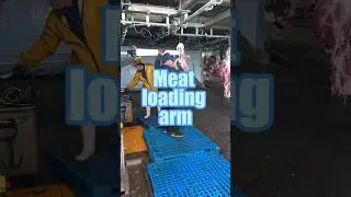 Automatic Meat Carcass Loading Arm | For Pig, Cattle, and Sheep Lines | Slaughter Line Equipment
