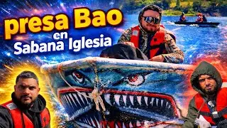 Presa Bao en Sabana Iglesia #pesca #campo 