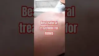 garlic treatment#beautiful#fish #petshub#aquarium#fishkeeping #mollyfish#petcare#fishcaretips #viral