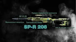 SP-R 208 что она может в моих руках