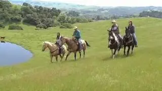 California Ranching: Raising Beef with Sustainable Stewardship