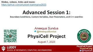PhysiCell Workshop 2023 Advanced Session 1: BCs, Custom Variables, Parameters, and C++ searches