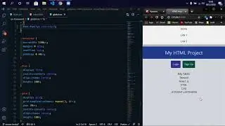 HTML / CSS project pt-4