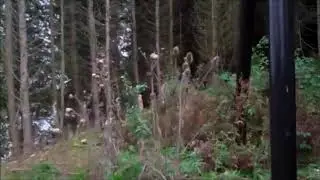 Canada Creek Railway - Keep Your Eyes Peeled