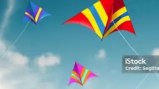 Meri patang cut gai😫😫#minivlog #makarsankranti #video #viral 
