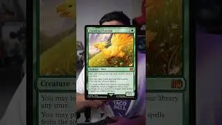 Choco, Seeker of Paradise Landfall Shenanigans | Magic: The Gathering | #mtg #shorts #combo #spoiler