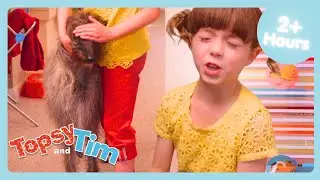 Finders Seekers! 🫣😆  | Topsy & Tim Season 1 Compilation | Fun Shows For Kids | WildBrain Zigzag